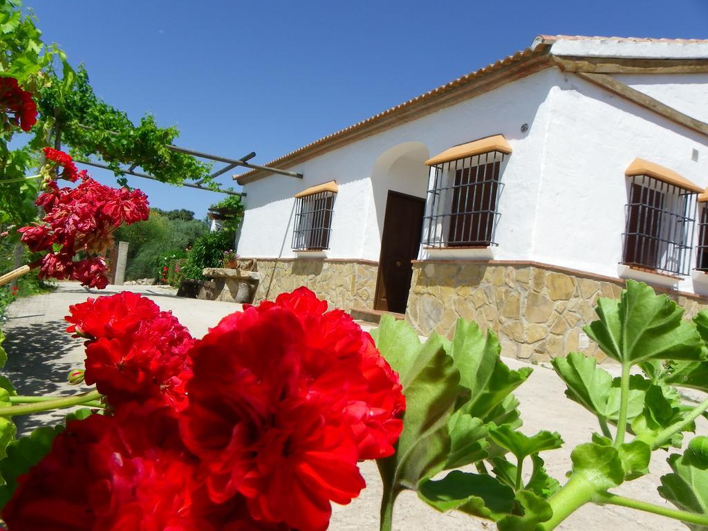 Casa Rural La Parada La Joya ภายนอก รูปภาพ